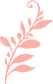 简约感恩节标题内容公众号素材模板2f